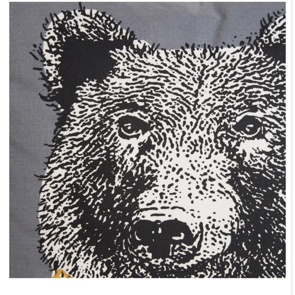 Grizzly Bear 🐻 Decorative Pillow Set of 2 NWOT